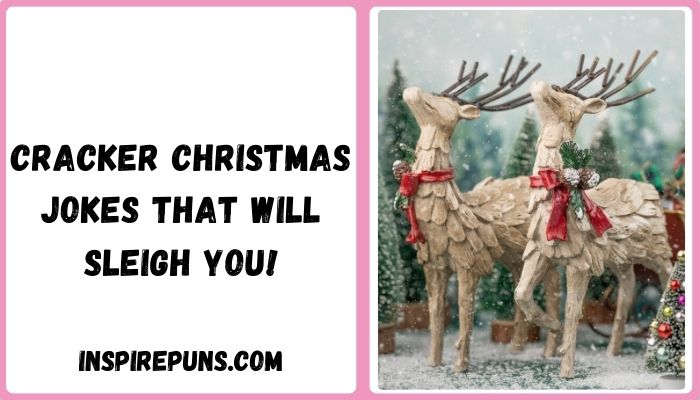 Cracker Christmas Jokes That Will Sleigh You!