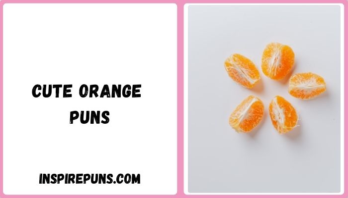 Cute Orange Puns