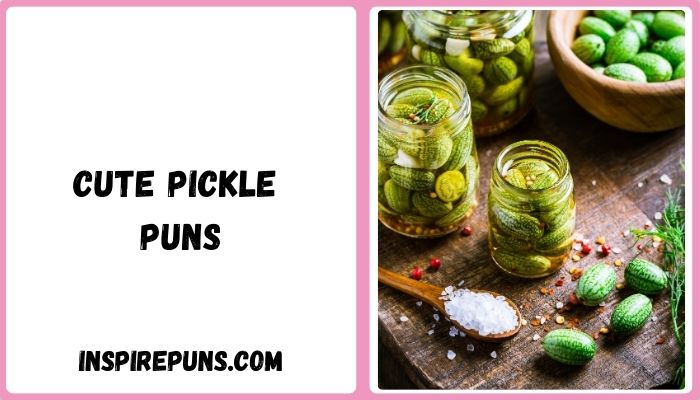 Cute Pickle Puns
