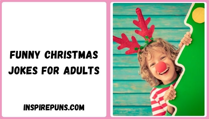 Funny Christmas Jokes for Adults
