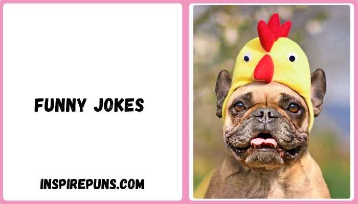 Funny Jokes 