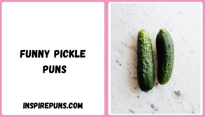 Funny Pickle Puns