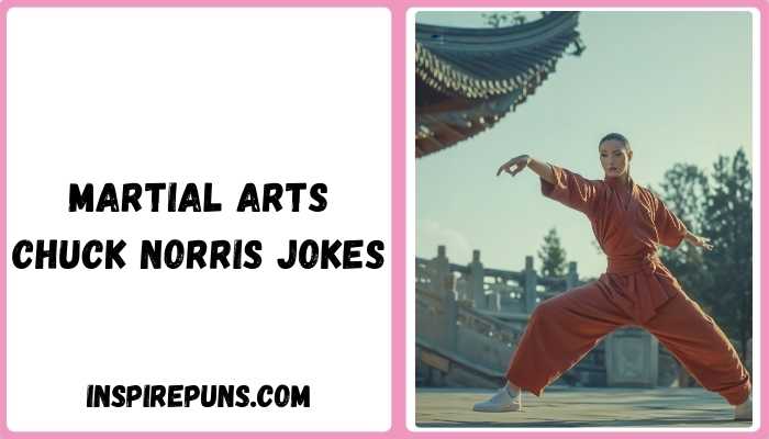 Martial Arts Chuck Norris Jokes