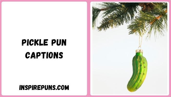 Pickle Pun Captions