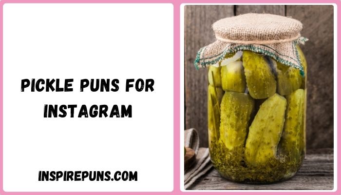 Pickle Puns for Instagram