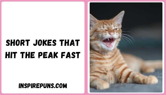Short Jokes That Hit the Peak Fast