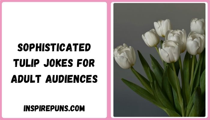 Sophisticated Tulip Jokes For Adult Audiences