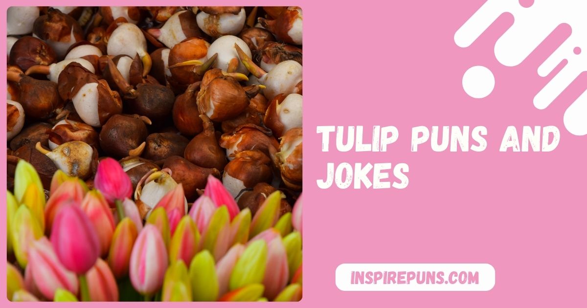 Tulip Puns and Jokes