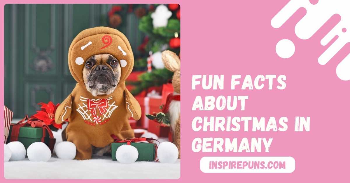 fun facts about christmas in germany