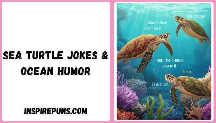 Sea Turtle Jokes & Ocean Humor